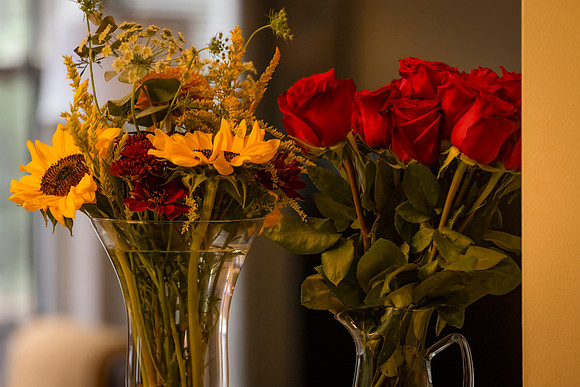 Michael and Candace Wedding - 9 21 2025 - Details-1